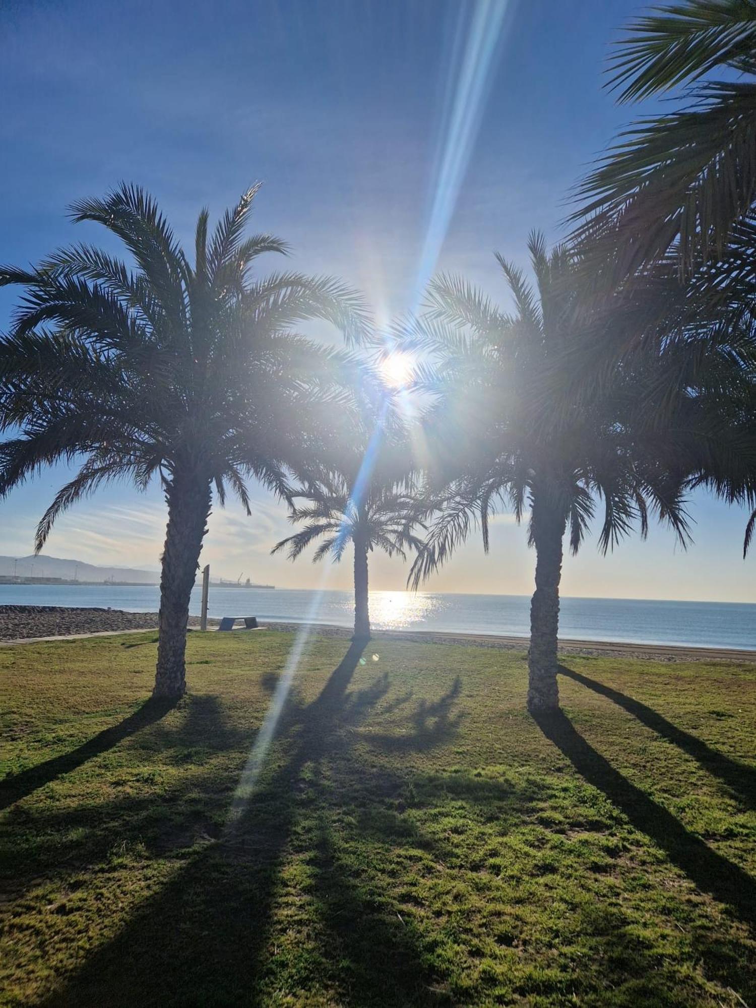 La Maison Del Mar Guest House Málaga Dış mekan fotoğraf
